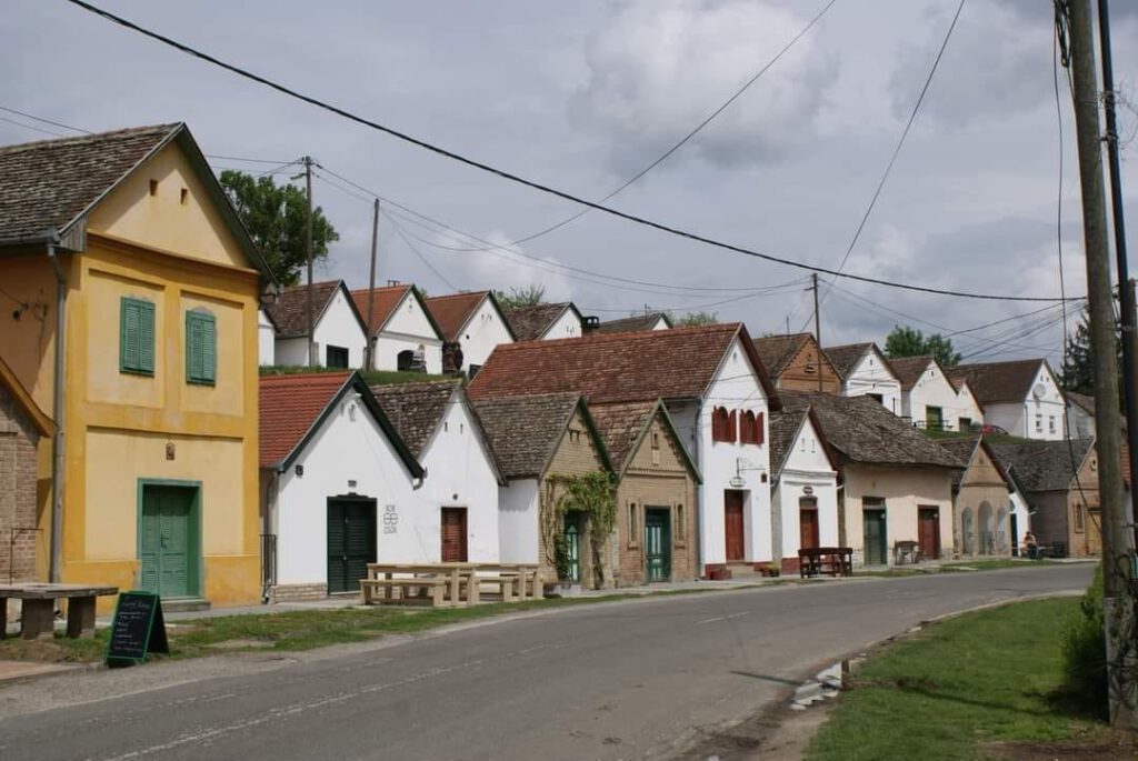 Palkonyai gasztorfalu, a faluvégi domboldalt uraló pincesor