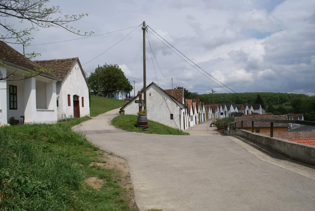 Palkonyai gasztorfalu, a faluvégi domboldalt uraló pincesor