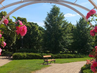 Szolnoki Rozárium – szín- és illatorgia a Tisza-parti város szívében