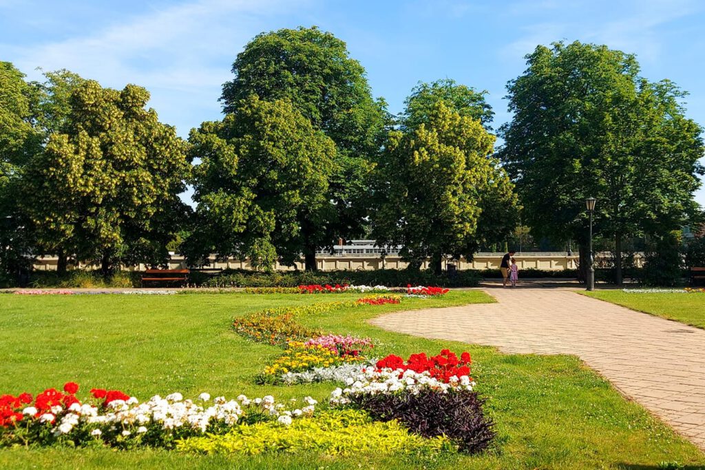 Szolnoki Rozárium – szín- és illatorgia a Tisza-parti város szívében