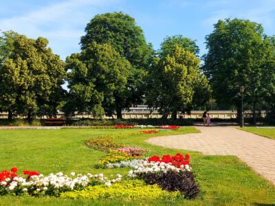 Szolnoki Rozárium – szín- és illatorgia a Tisza-parti város szívében
