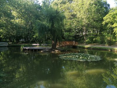 Liget park, Tatabánya élettel teli zöld ligete
