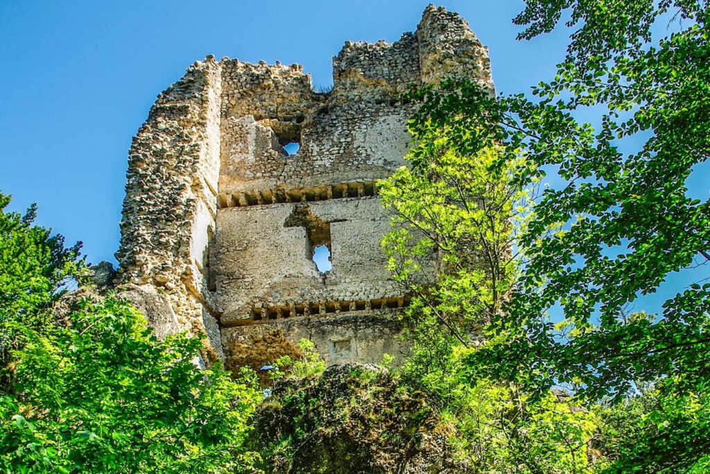 Pusztapalota, a Bakony erdősségében rejtőző várrom