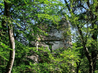 Pusztapalota, a Bakony erdősségében rejtőző várrom