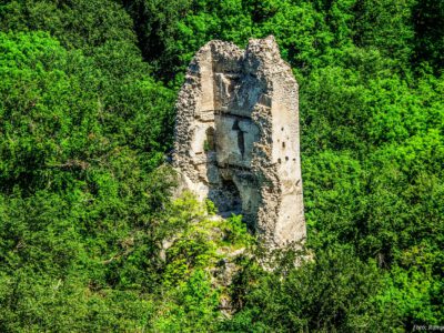 Pusztapalota, a Bakony erdősségében rejtőző várrom