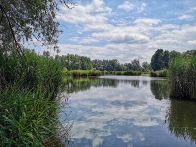 Veresegyház festői szépségű, vadregényes tórendszere