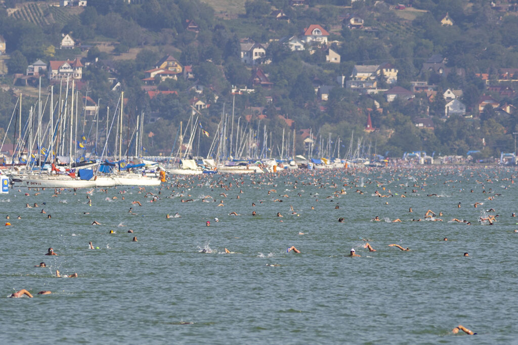 Több mint 12.000 ember ugrott vízbe a jubileumi, 40. Balaton-átúszáson