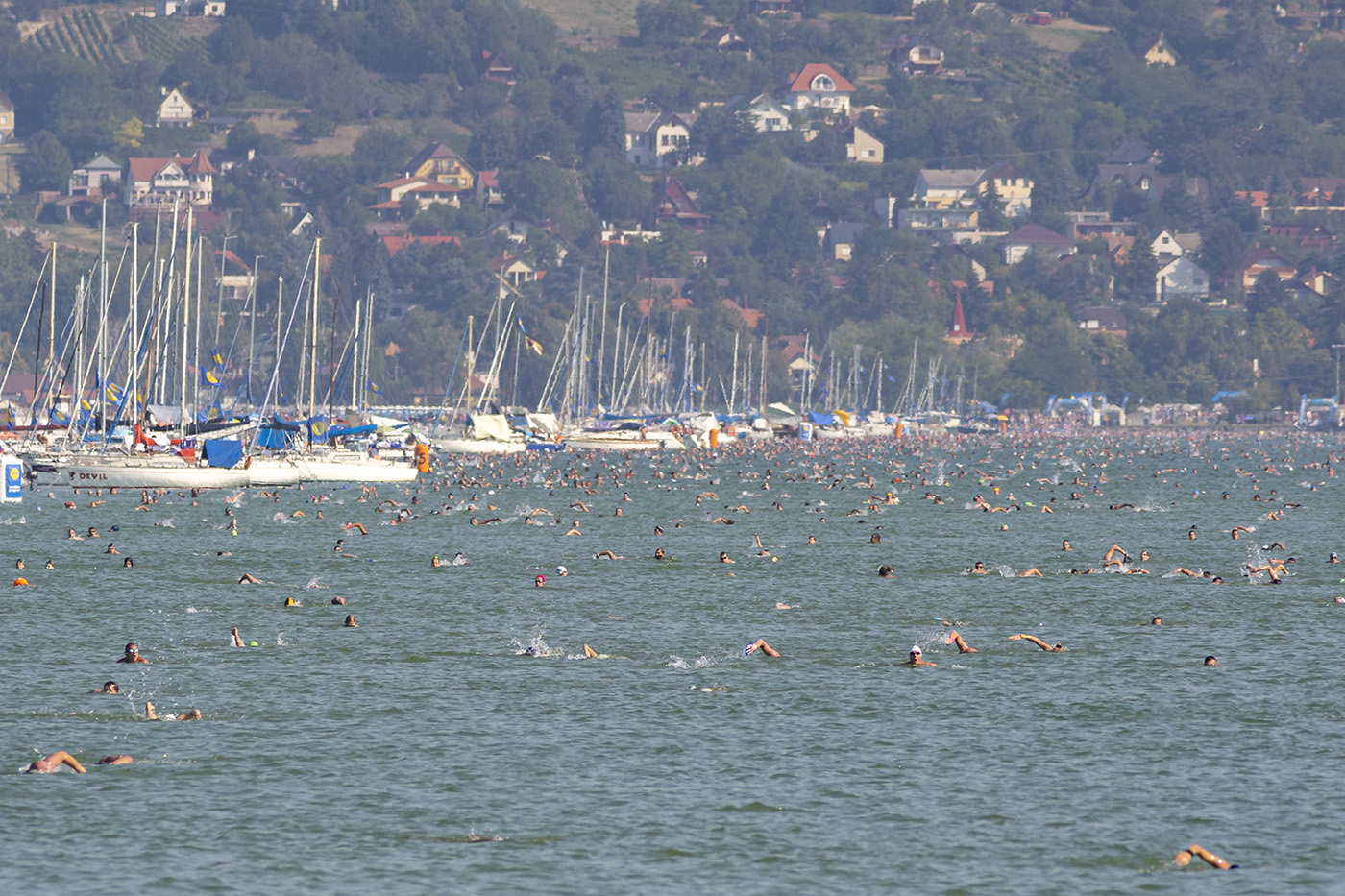Több mint 12.000 ember ugrott vízbe a jubileumi, 40. Balaton-átúszáson