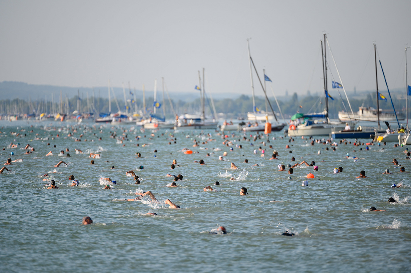 Több mint 12.000 ember ugrott vízbe a jubileumi, 40. Balaton-átúszáson
