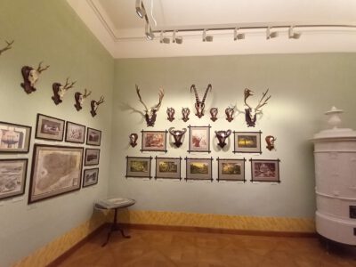 A bajnai Sándor–Metternich-kastély és kihagyhatatlan kiállításai