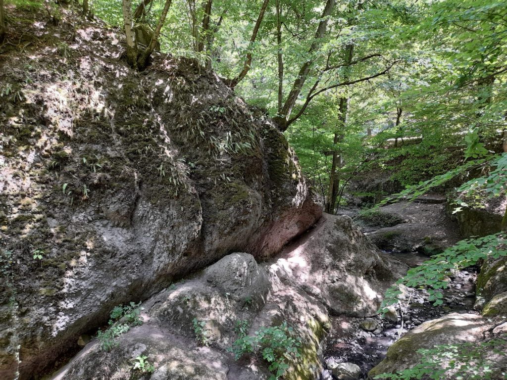Bertényi Miklós Füvészkert, az Apátkúti-patak völgyének arborétuma