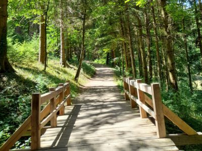 Bertényi Miklós Füvészkert, az Apátkúti-patak völgyének arborétuma