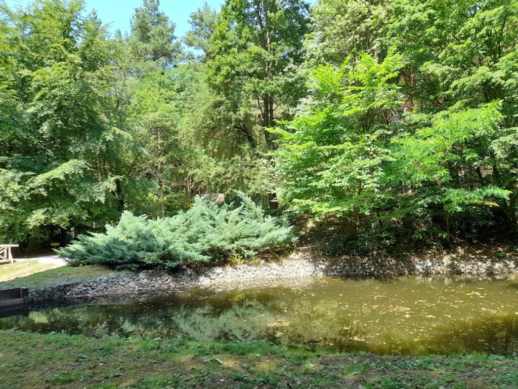 Bertényi Miklós Füvészkert, az Apátkúti-patak völgyének arborétuma