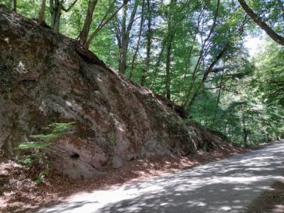 Bertényi Miklós Füvészkert, az Apátkúti-patak völgyének arborétuma