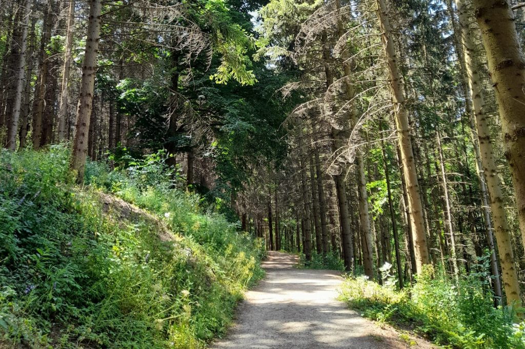 Bertényi Miklós Füvészkert, az Apátkúti-patak völgyének arborétuma