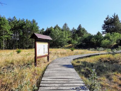 Kirándulás a Tartós szegfű tanösvényen, Európa egyik legritkább virágjának élőhelyén