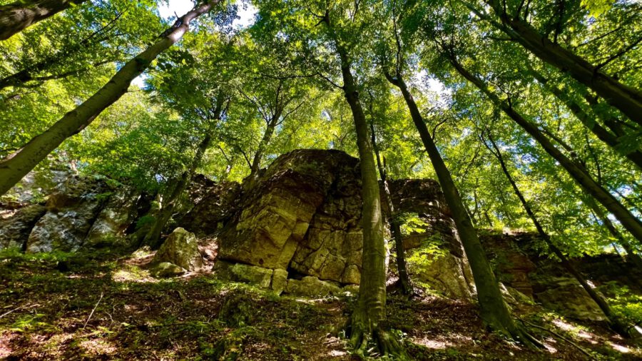 Zsiványok, az erdőben rejtőző monumentális sziklatornyok