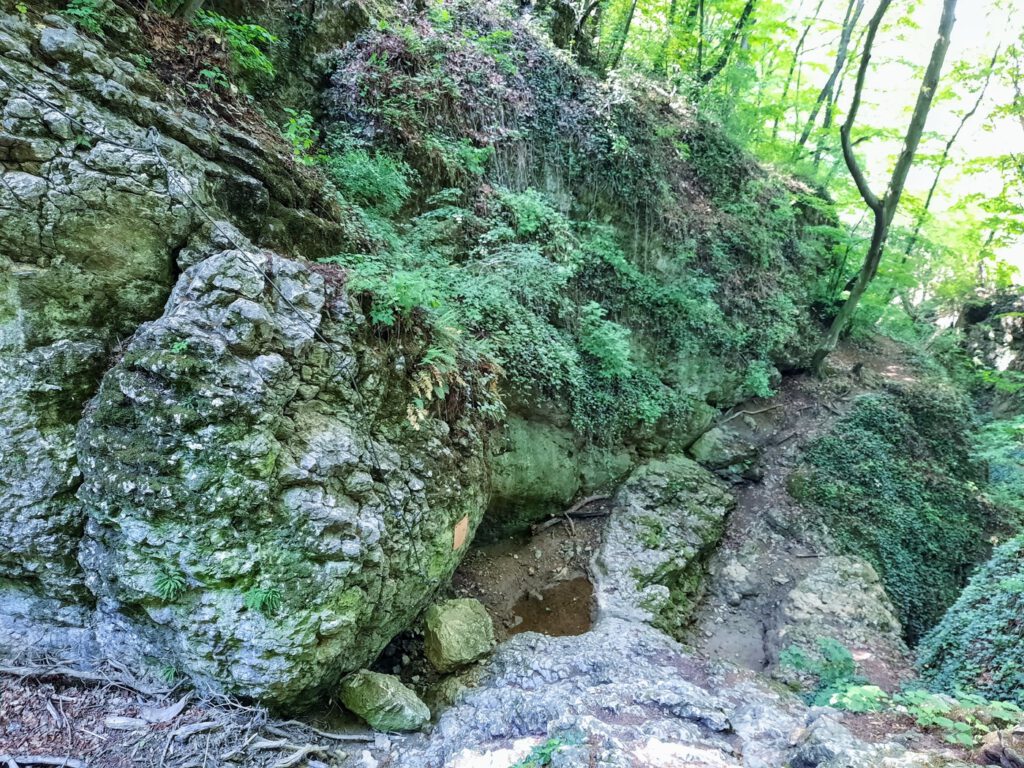 Kőmosó-szurdok, a Bakony talán leglátványosabb sziklaképződménye
