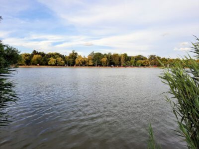 Kunfehértó tavai, ahol valóban nem álom a pihenés