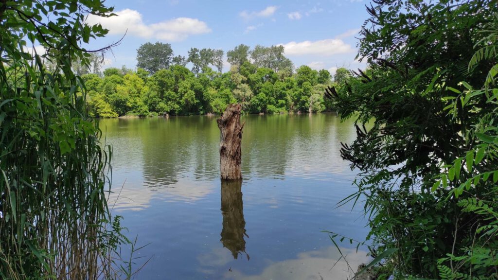 Mártély, ősi település a vadregényes Holt-Tisza mellett
