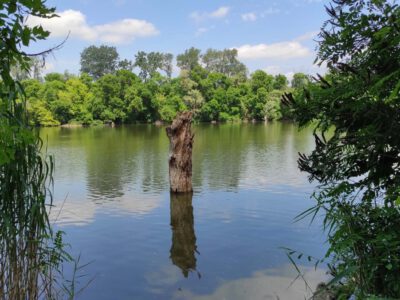 Mártély, ősi település a vadregényes Holt-Tisza mellett