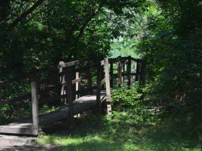 Mártély, ősi település a vadregényes Holt-Tisza mellett