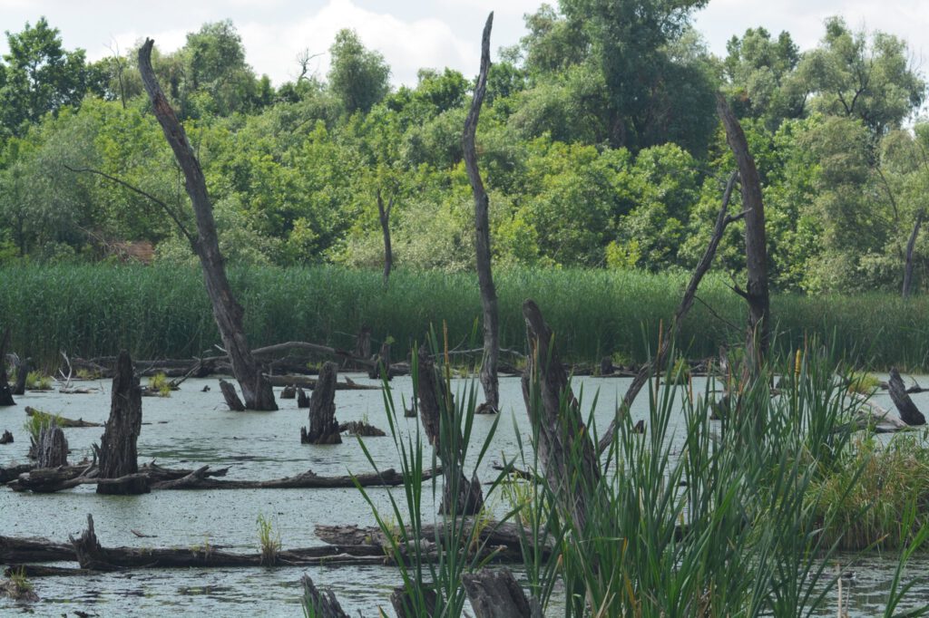 Mártély, ősi település a vadregényes Holt-Tisza mellett