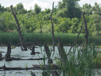 Mártély, ősi település a vadregényes Holt-Tisza mellett