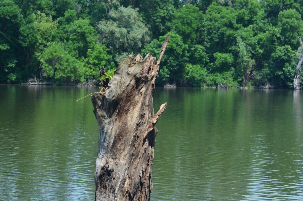 Mártély, ősi település a vadregényes Holt-Tisza mellett