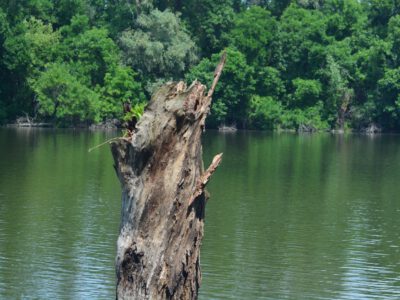 Mártély, ősi település a vadregényes Holt-Tisza mellett