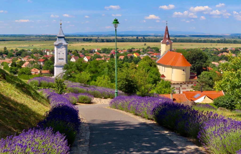 Áldó Krisztus szobor, a Világörökség részét képező Tarcal Európa híres szobra