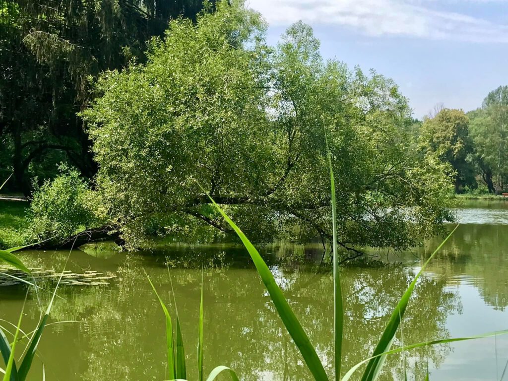 Vasvár legendás feneketlen tava, a Csónakázó-tó