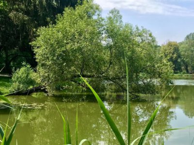 Vasvár legendás feneketlen tava, a Csónakázó-tó