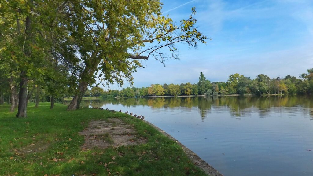 Tatai Cseke-tó, a vizek városának több mint 250 éves, festői tava