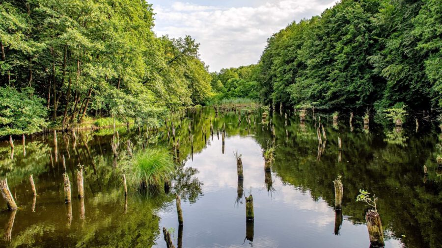 Hubertlaki-tó, a Bakony vadonjának mesébe illő Gyilkos-tava