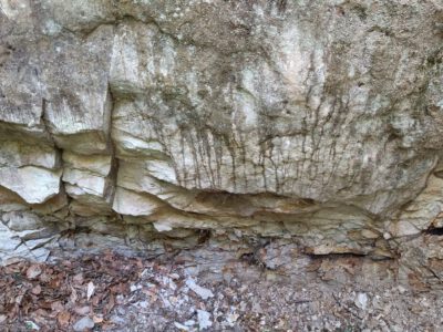 Ipolytarnóci Ősmaradványok, ahol az ősvilágba(n) kirándulhatsz