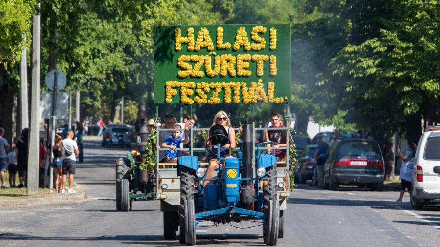 Halasi Szüreti Fesztivál 2022 Kiskunhalas