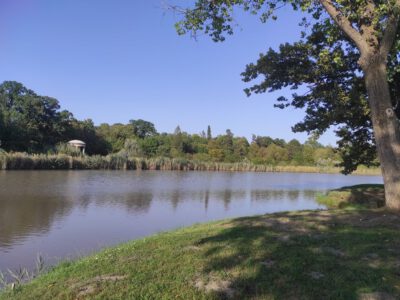 A nagymágocsi Károlyi kastély és 41 hektáros parkja