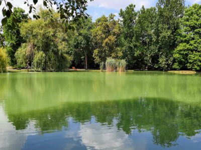 Megszépült és új attrakcióval bővült a szigetvári Zrínyi-vár parkja