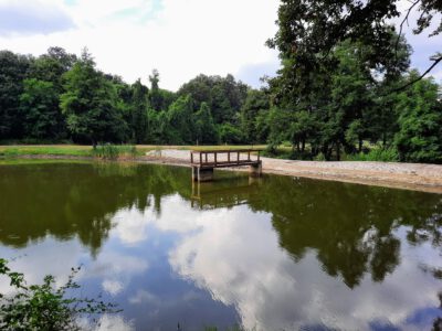 Váraljai parkerdő, ahová, és ahonnan érdemes kirándulni