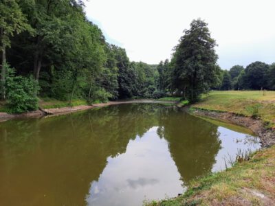 Váraljai parkerdő, ahová, és ahonnan érdemes kirándulni