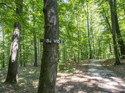 Kirándulás az energiapontok mentén a dobronaki Természeti Energiák parkjában