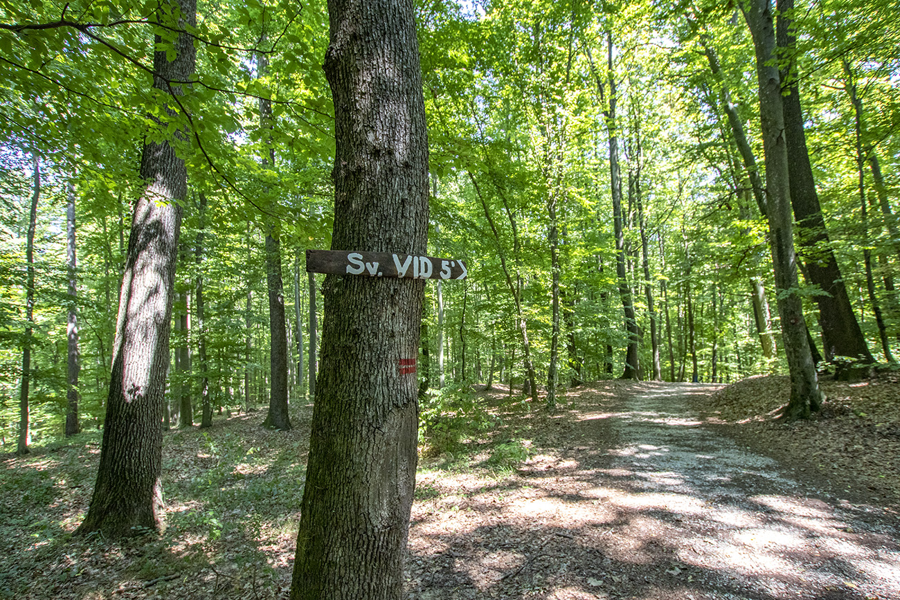 Kirándulás az energiapontok mentén a dobronaki Természeti Energiák parkjában