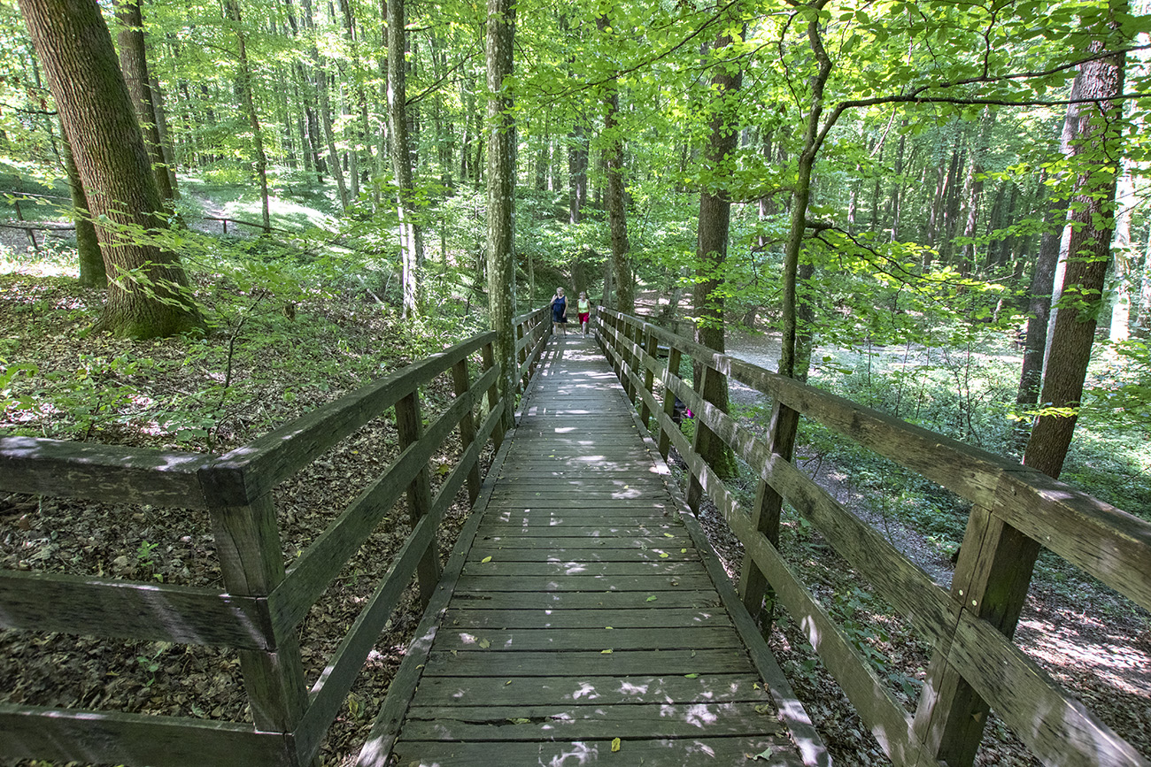 Kirándulás az energiapontok mentén a dobronaki Természeti Energiák parkjában