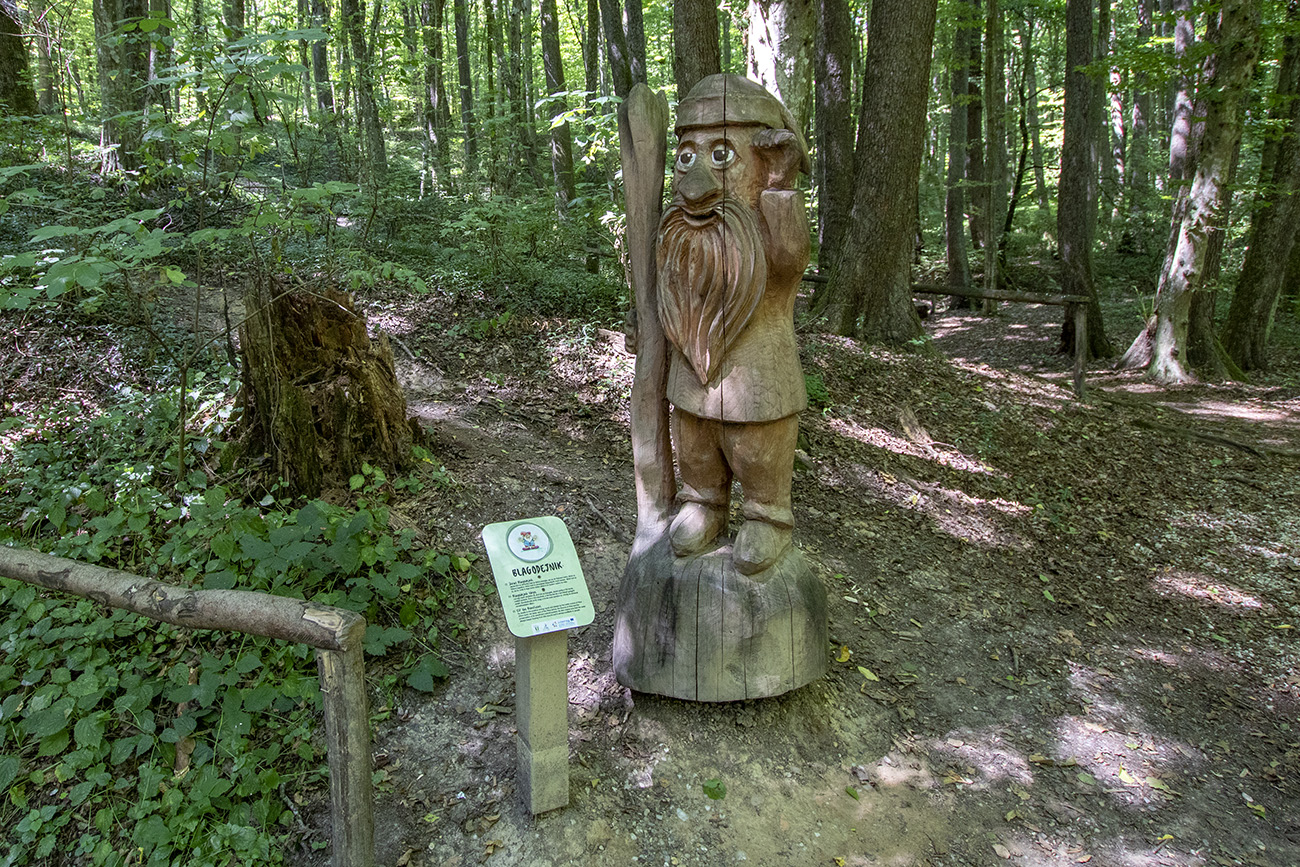 Kirándulás az energiapontok mentén a dobronaki Természeti Energiák parkjában