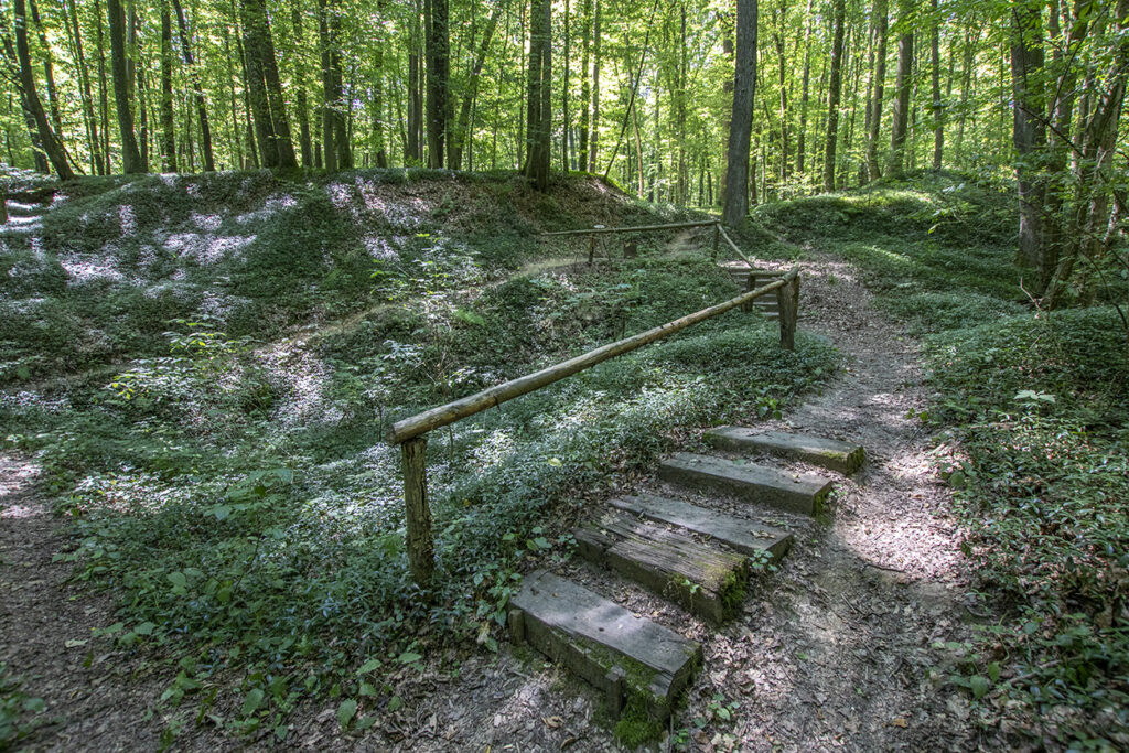 Kirándulás az energiapontok mentén a dobronaki Természeti Energiák parkjában