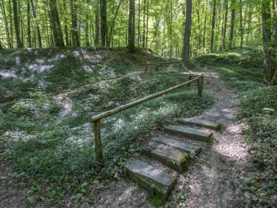 Kirándulás az energiapontok mentén a dobronaki Természeti Energiák parkjában
