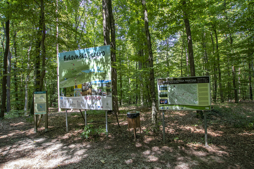 Kirándulás az energiapontok mentén a dobronaki Természeti Energiák parkjában
