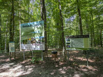 Kirándulás az energiapontok mentén a dobronaki Természeti Energiák parkjában
