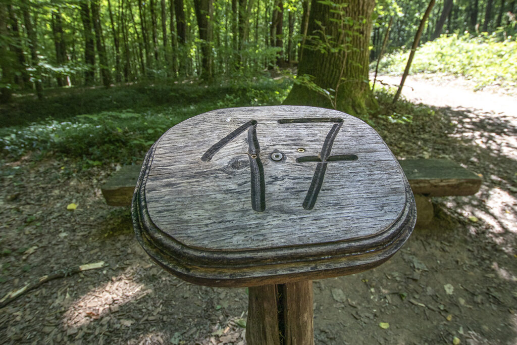 Kirándulás az energiapontok mentén a dobronaki Természeti Energiák parkjában